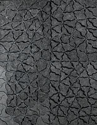 Chriselda ROSS NUNGARRAYI (née en 1980) - Photo 1