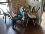 plusieurs chaises sont alignées dans une pièce