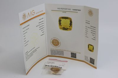 une brochure sur laquelle figure un losange jaune
