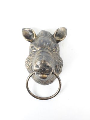 a close up of a metal animal head with a ring in it ' s mouth
