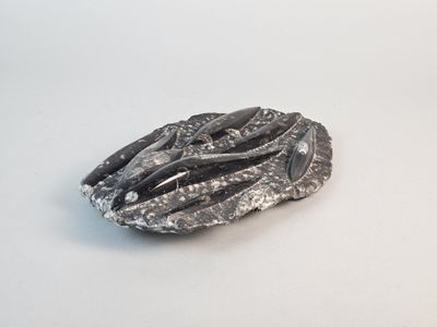 a metal object that is sitting on a white surface