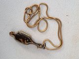 un collier composé d'une chaîne en or sur laquelle est fixée une carapace de tortue