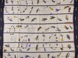 une image représentant une écharpe blanche ornée d'oiseaux bleus et jaunes
