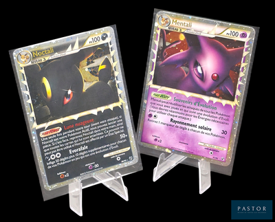Deux cartes Pokémon sont exposées sur un présentoir devant un fond noir.