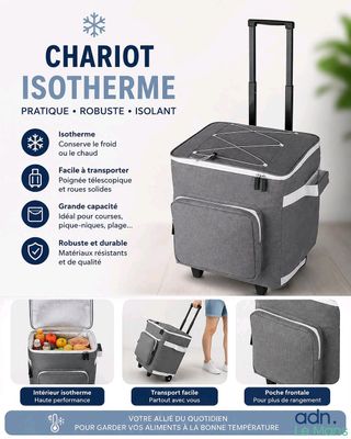 une image représentant un sac isotherme gris à roulettes et poignées