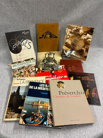 Lot de livres illustrés arts et voyages