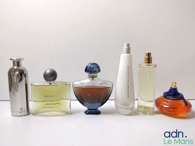 Plusieurs types de flacons de parfum sont alignés sur une surface blanche