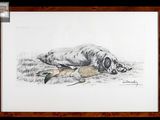 tableau représentant un chien couché par terre, un canard dans la gueule