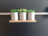 trois pots de fleurs posés sur une étagère dans une pièce