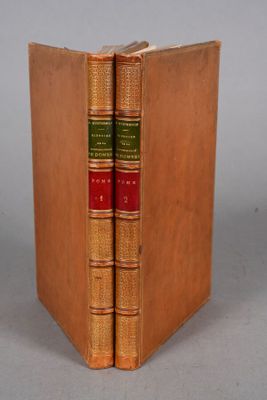 Deux livres sont posés dans une bibliothèque, sur une surface grise.