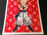 a picture of a picture of gohan on a red background