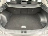 a trunk of a car with the back seats folded down
