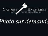 Photo 1/1 du lot