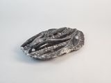 a metal object that is sitting on a white surface