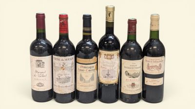 six bouteilles de vin sont alignées sur une surface blanche