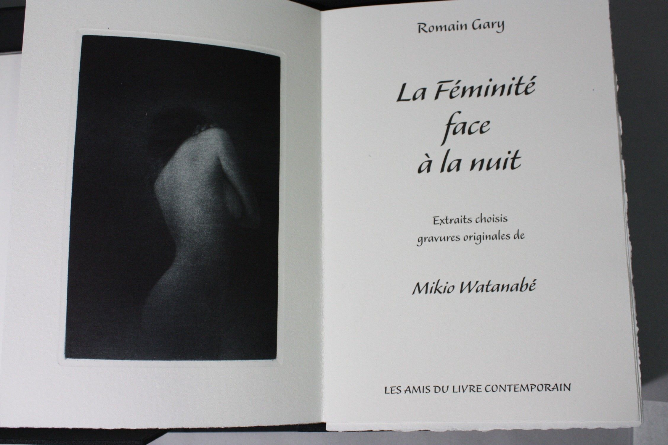 Objets d'art & Curiosités