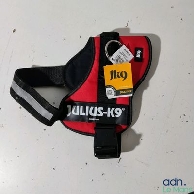 un harnais rouge pour chien auquel est attachée une médaille