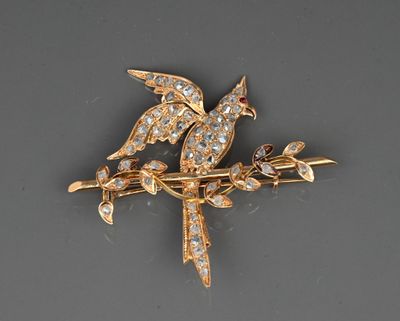 two birds sitting on a branch of a tree