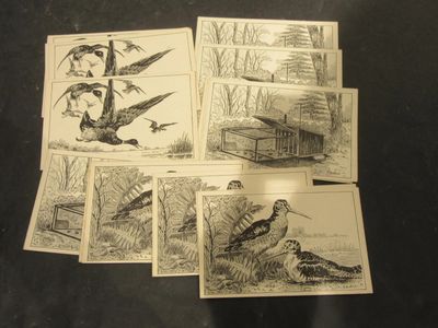 several cards with pictures of birds on them on a table