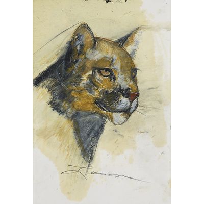 une image représentant un dessin de chat sur une feuille de papier