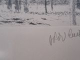 a picture of a drawing of a forest with trees