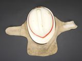 a white helmet on the back of a glove