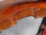 a close up of a violin that is on display