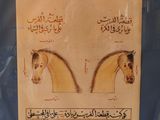 a picture of a picture of two horses with arabic writing