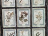 a picture of a picture of a bunch of flowers in a frame