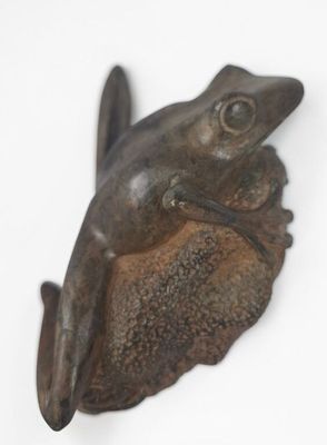 a frog that is sitting on top of a piece of wood