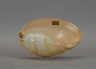 an image of a shell shaped object on a stand on a gray surface
