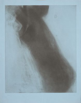 an image of a black and white drawing of a dog ' s head