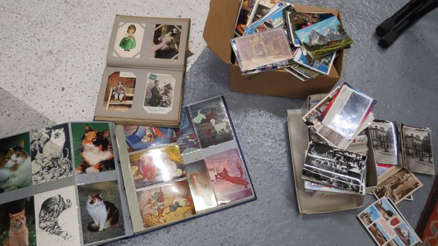 Album CP « chat » (environ 250CP), album fantaisie, personnages e...
