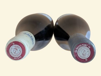 deux bouteilles de vin posées l'une à côté de l'autre sur une table
