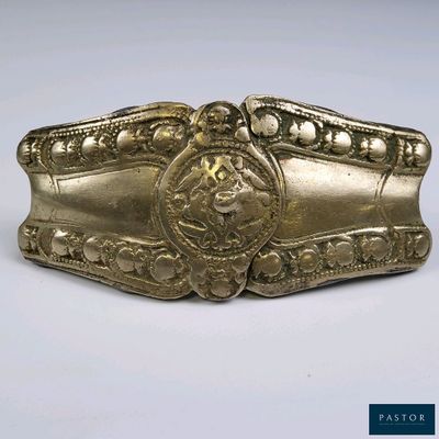 an image of a gold belt buckle with a lion on it