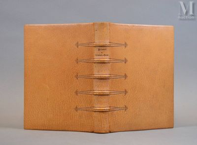 an image of a brown leather book with a bunch of stitching on it