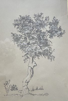 une photo d'un dessin représentant un arbre accroché au mur