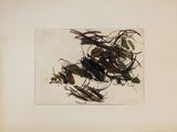 a picture of a picture of a group of bugs