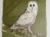 painting of a white owl sitting on a branch in a green background