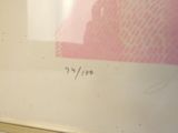 a picture of a picture of a pink and white picture