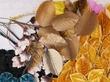 a bunch of different colored leaves on a table