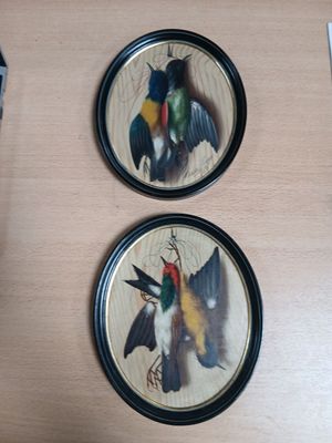 deux assiettes ornées d'oiseaux, posées sur une table