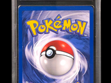 Photo 3/3 du lot