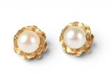 a pair of pearl and gold earrings on a white background