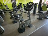des rangées de vélos d'appartement dans une salle de sport avec un mur végétalisé
