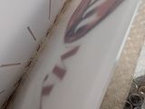 un gros plan sur un skateboard orné d'un graffiti sur le côté