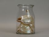 a glass jar with shells inside of it on a table