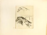 a drawing of a horse and a dog in a pen and ink