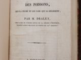 Photo 2/2 du lot