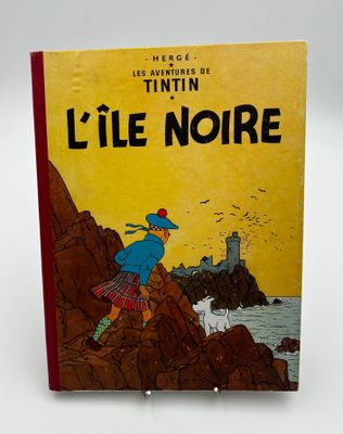 un vieux livre dont la couverture représente un garçon et un chien